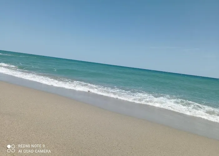 Daire 2 Pieces Avec Terrasse En Bord De